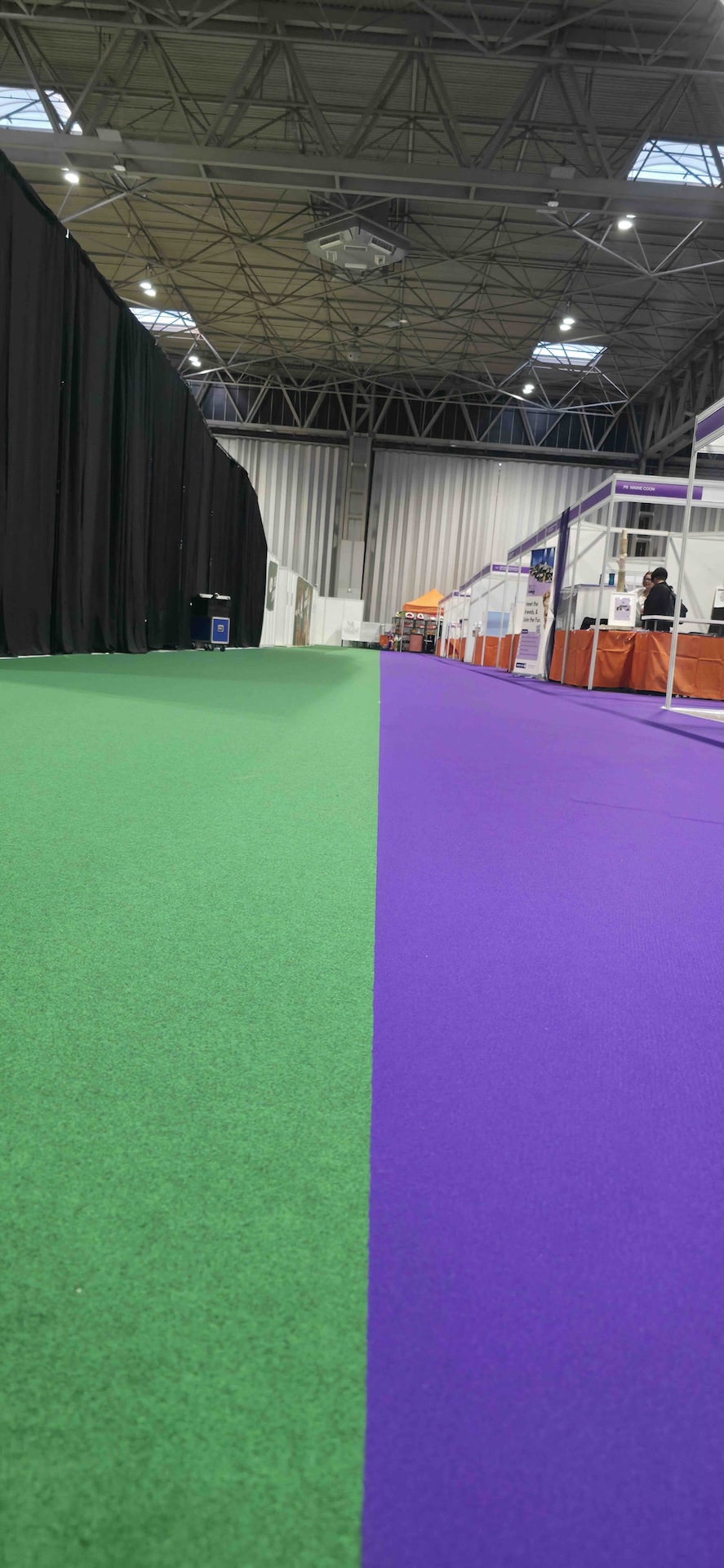 Cat Show Live 2025 - build morning